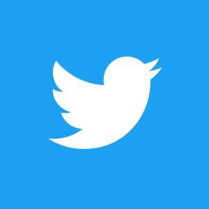 twitter icon